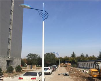市電路燈-陜西省西安市西北大學長安校區(qū)路燈工程